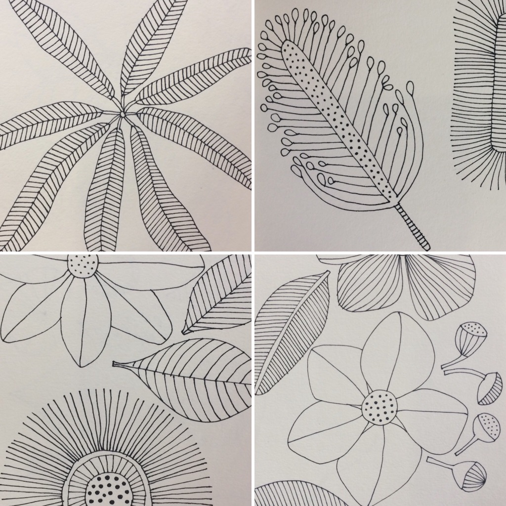 drawing